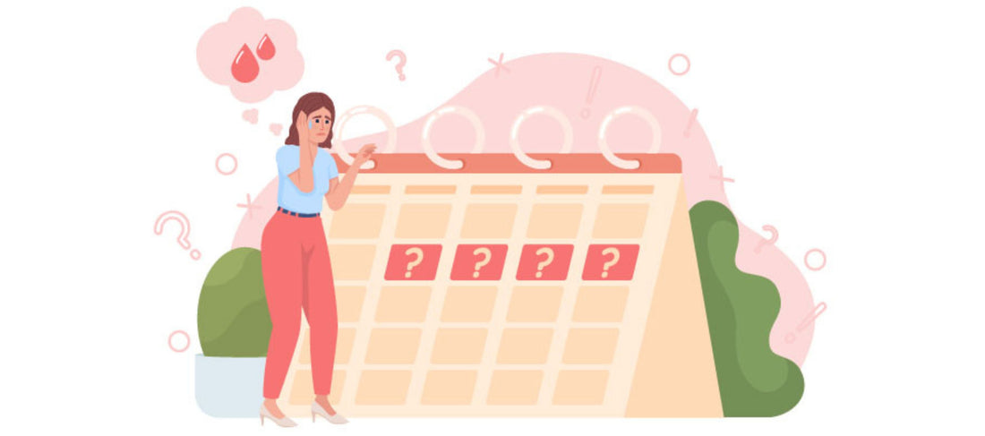 Women's menstrual cycle phases 